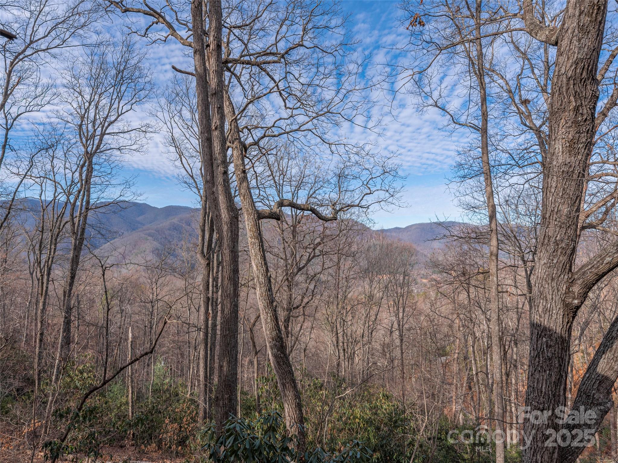 1392 Mount Chalet Road — Canton