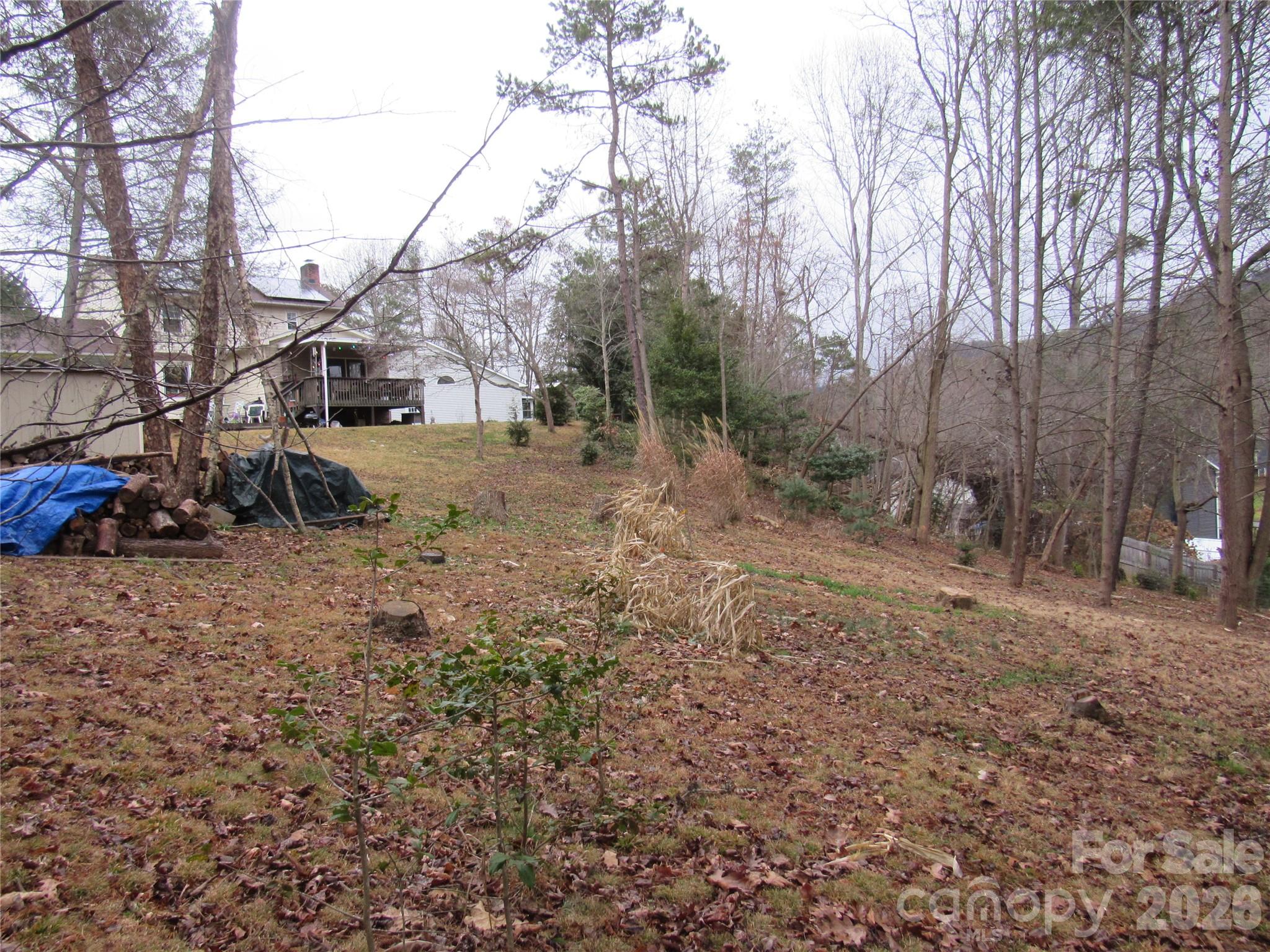 19 Westminster Drive — Asheville