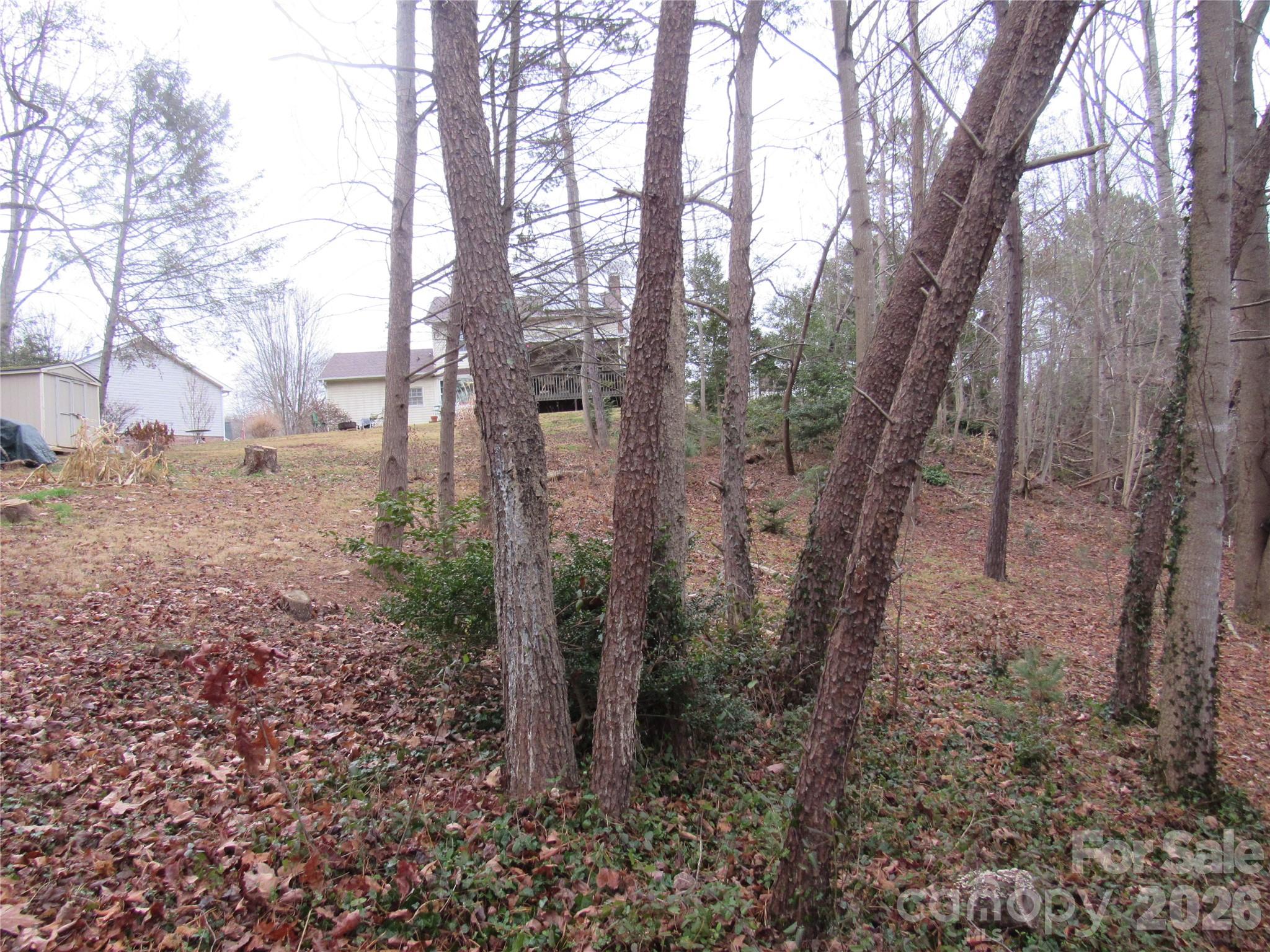 19 Westminster Drive — Asheville