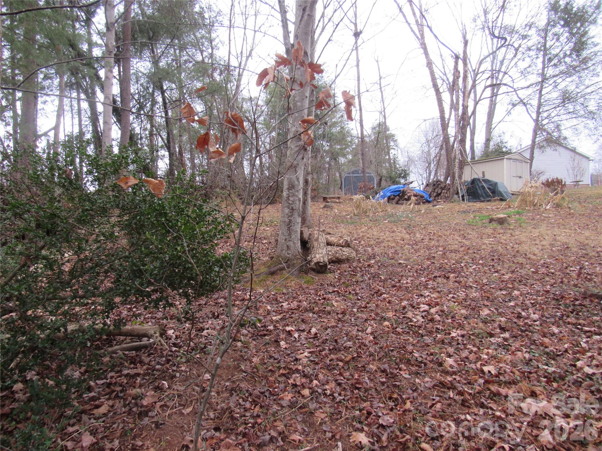 19 Westminster Drive — Asheville