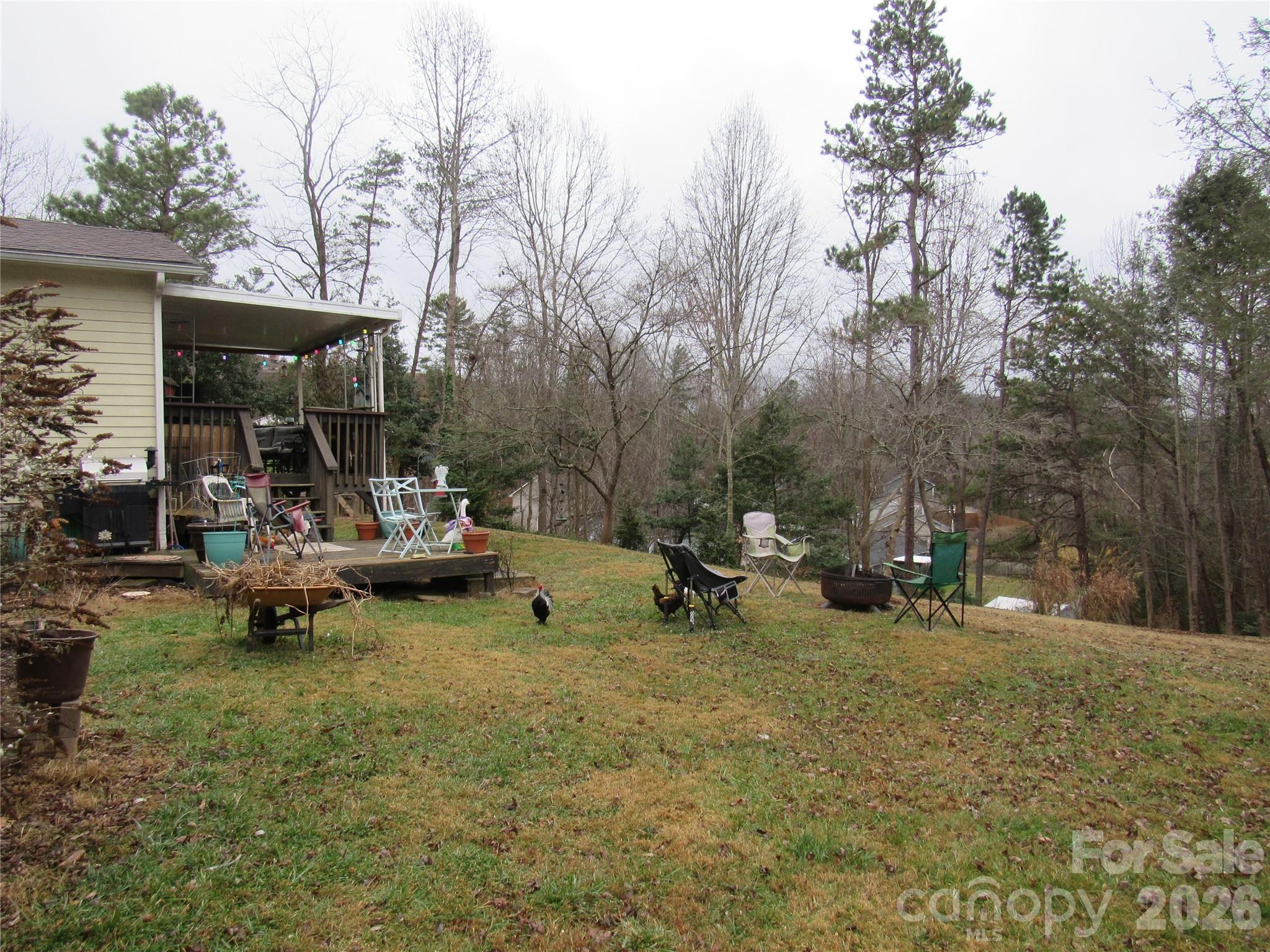 19 Westminster Drive — Asheville