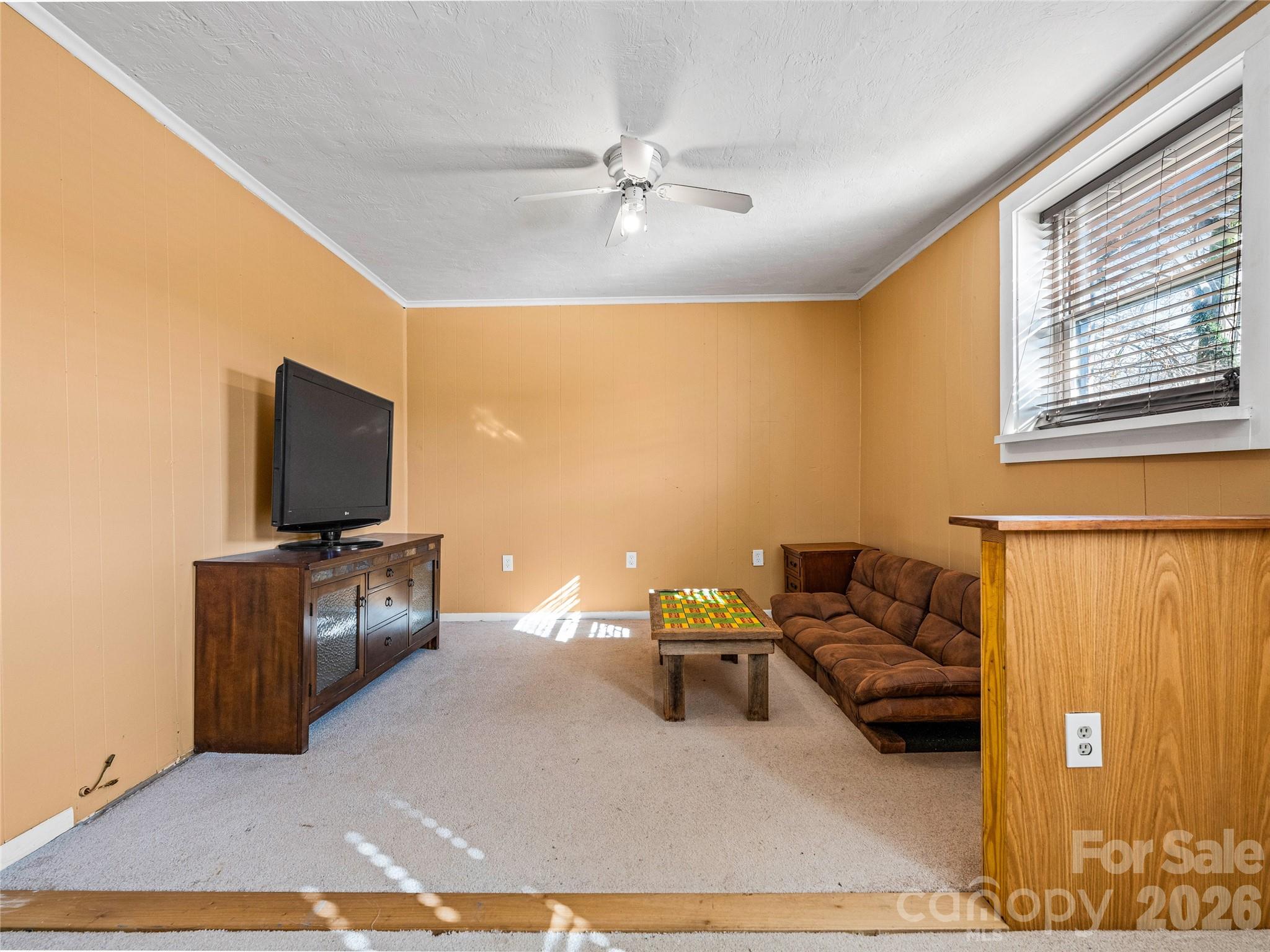 204 Sutton Avenue — Black Mountain