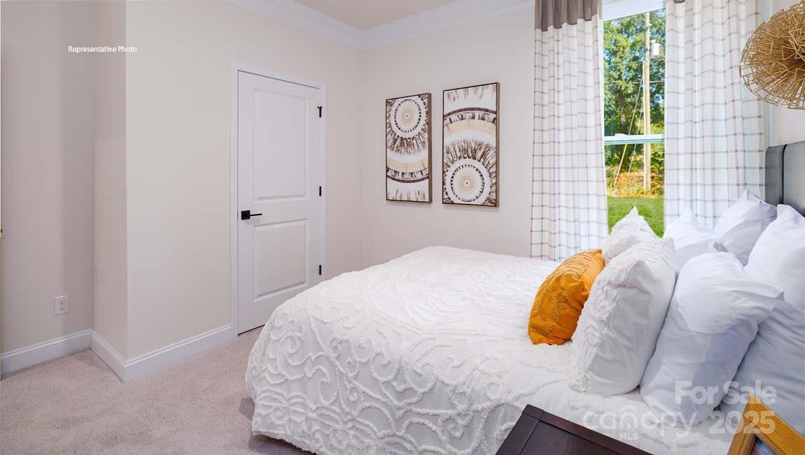 2039 Gallinule Drive — Indian Trail