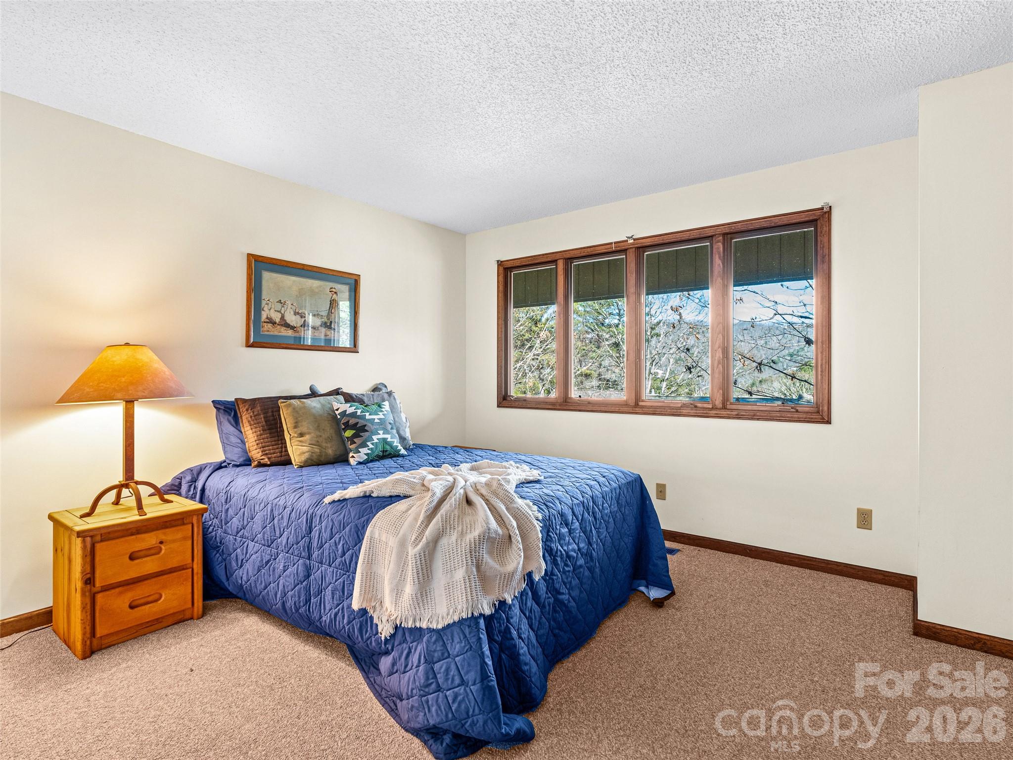 3802 Timber Trail — Asheville
