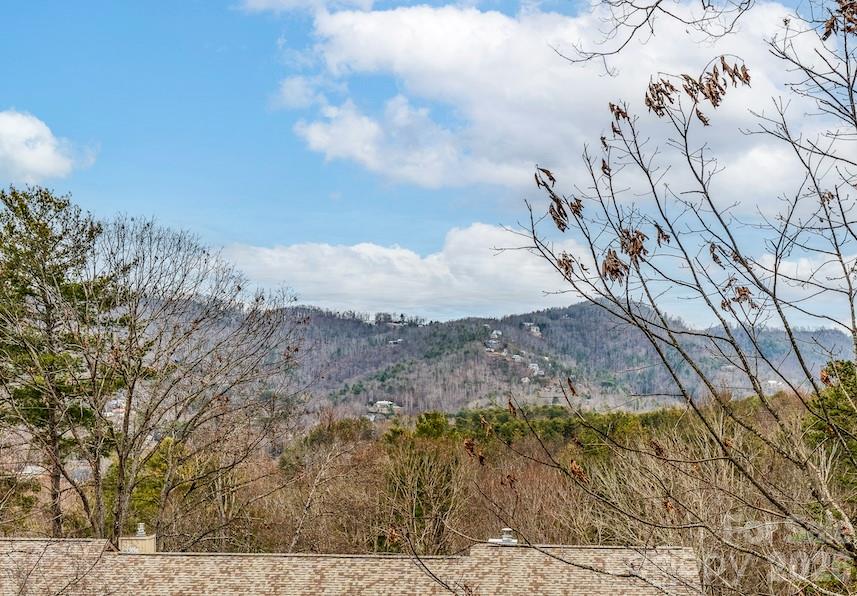 3802 Timber Trail — Asheville