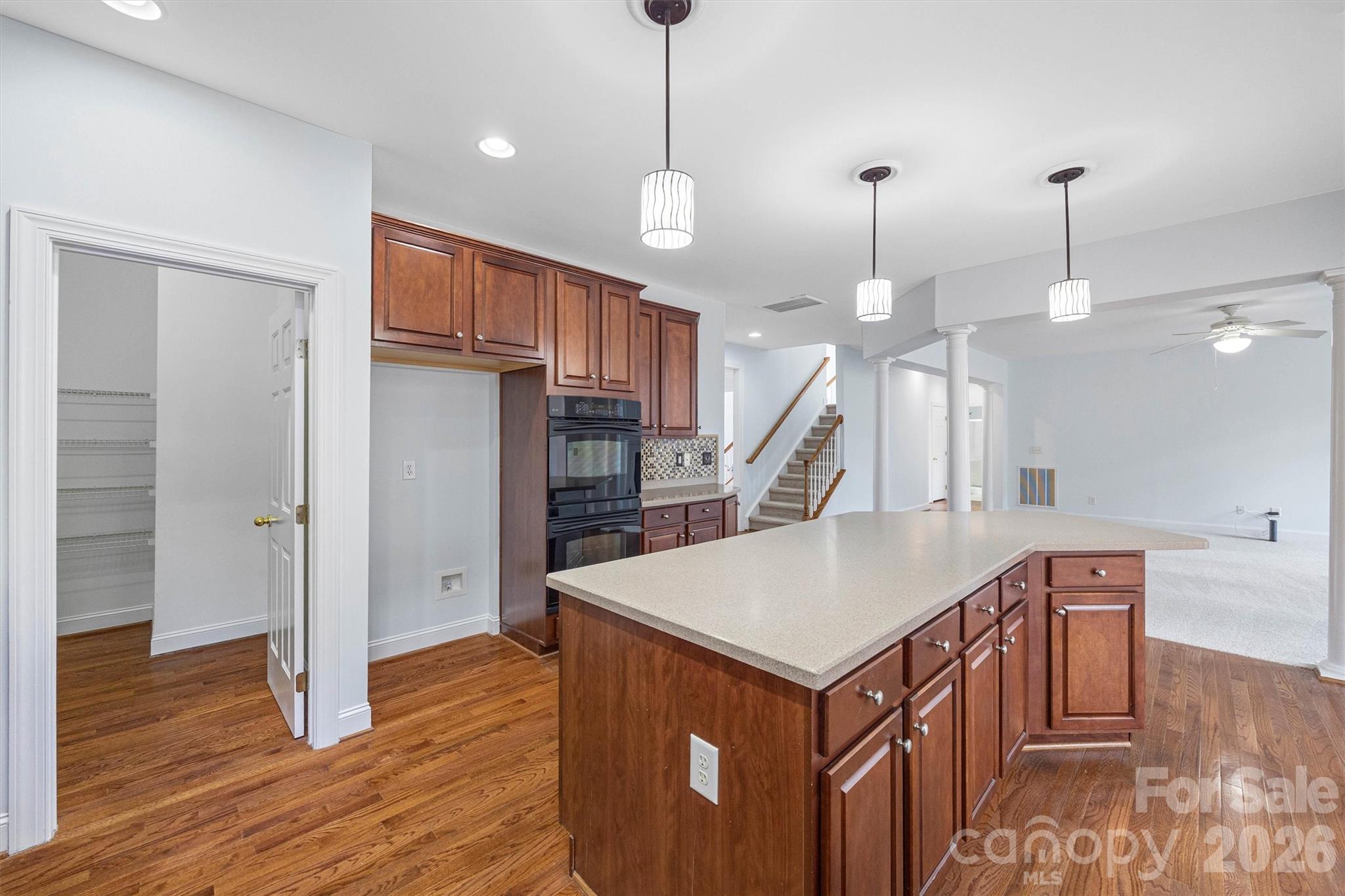 507 Ann Shaw Avenue — Fort Mill