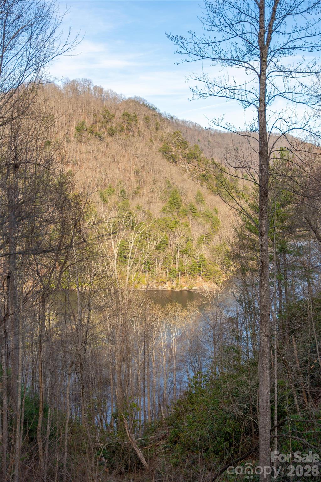 100 Saddle Notch Lane #A1 — Tuckasegee