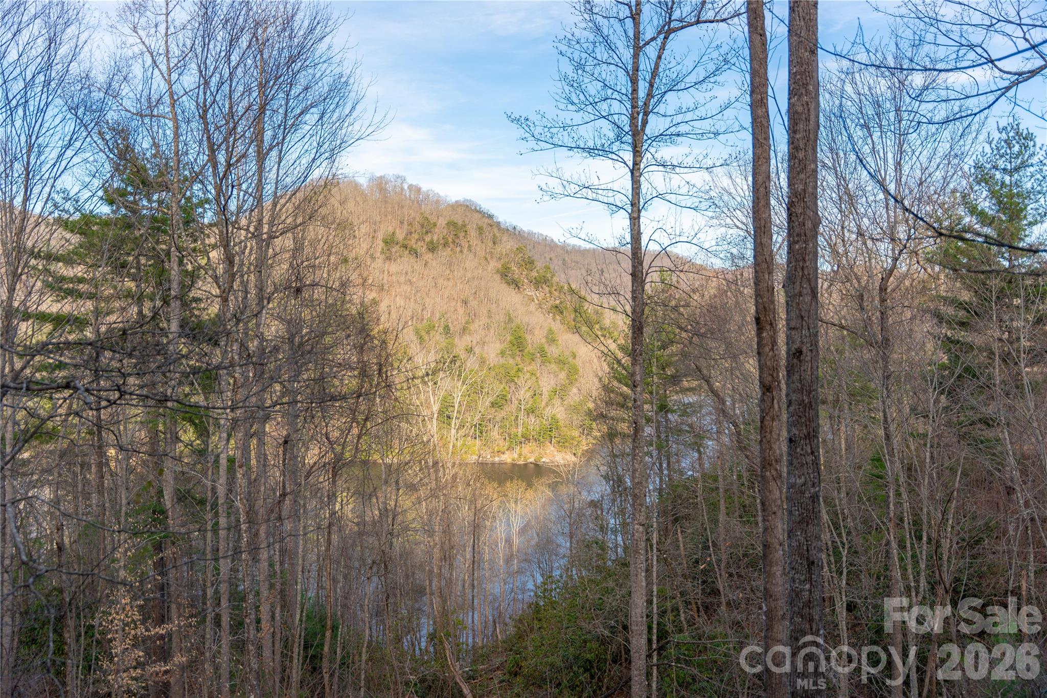 100 Saddle Notch Lane #A1 — Tuckasegee