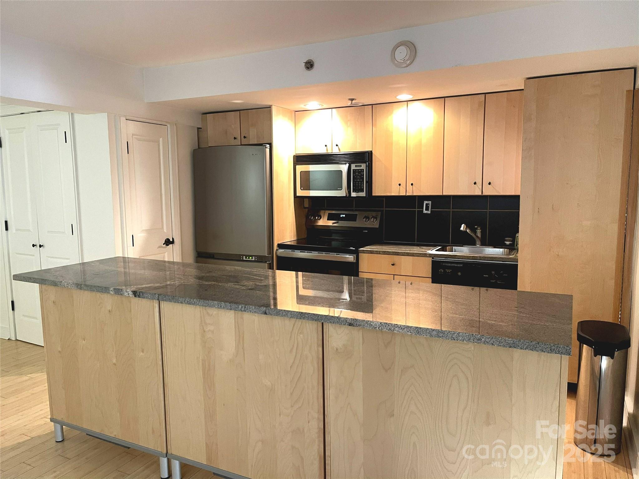 37 Hiawassee Street #W106 — Asheville