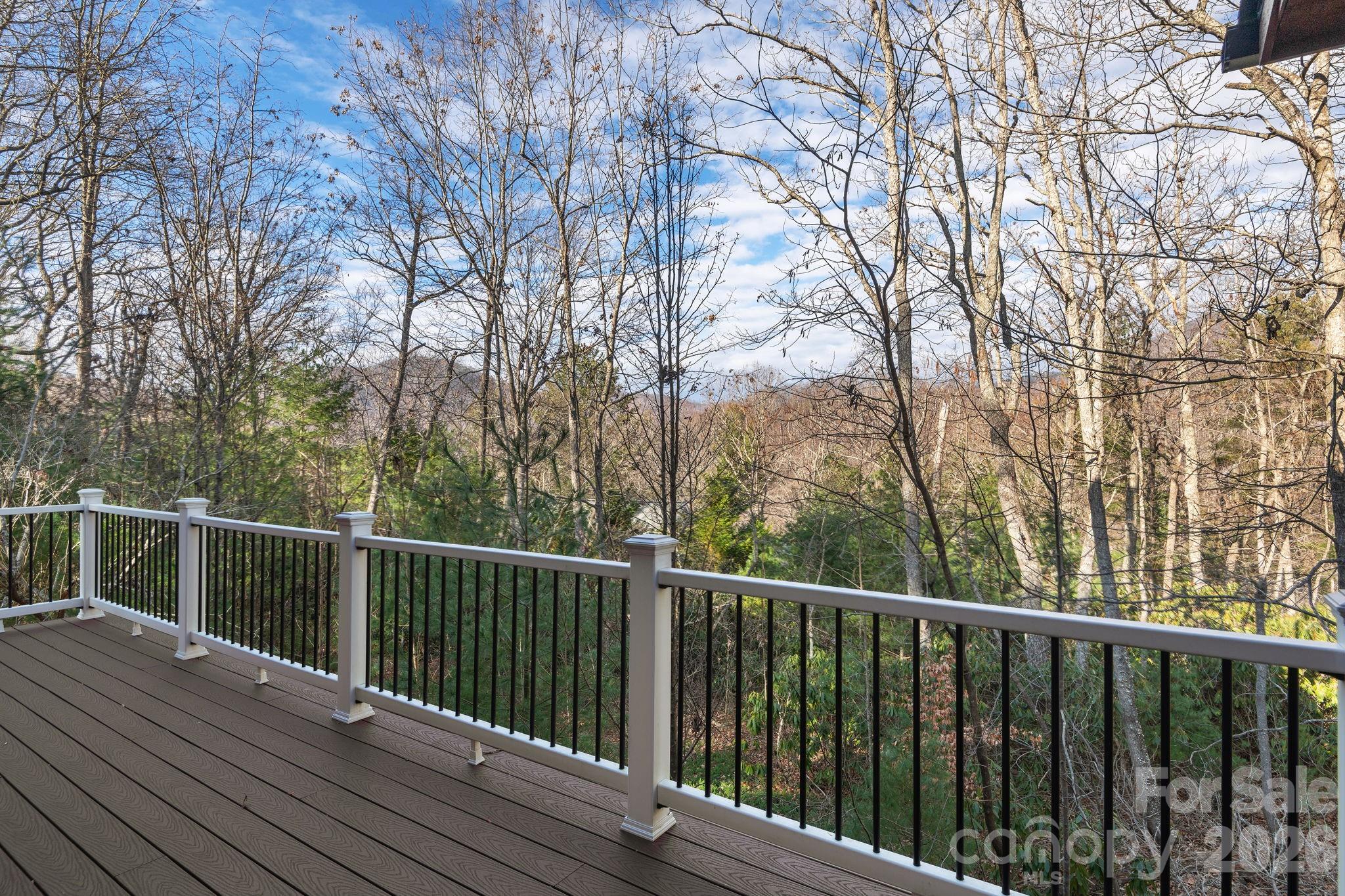 125 Buffalo Trail — Asheville