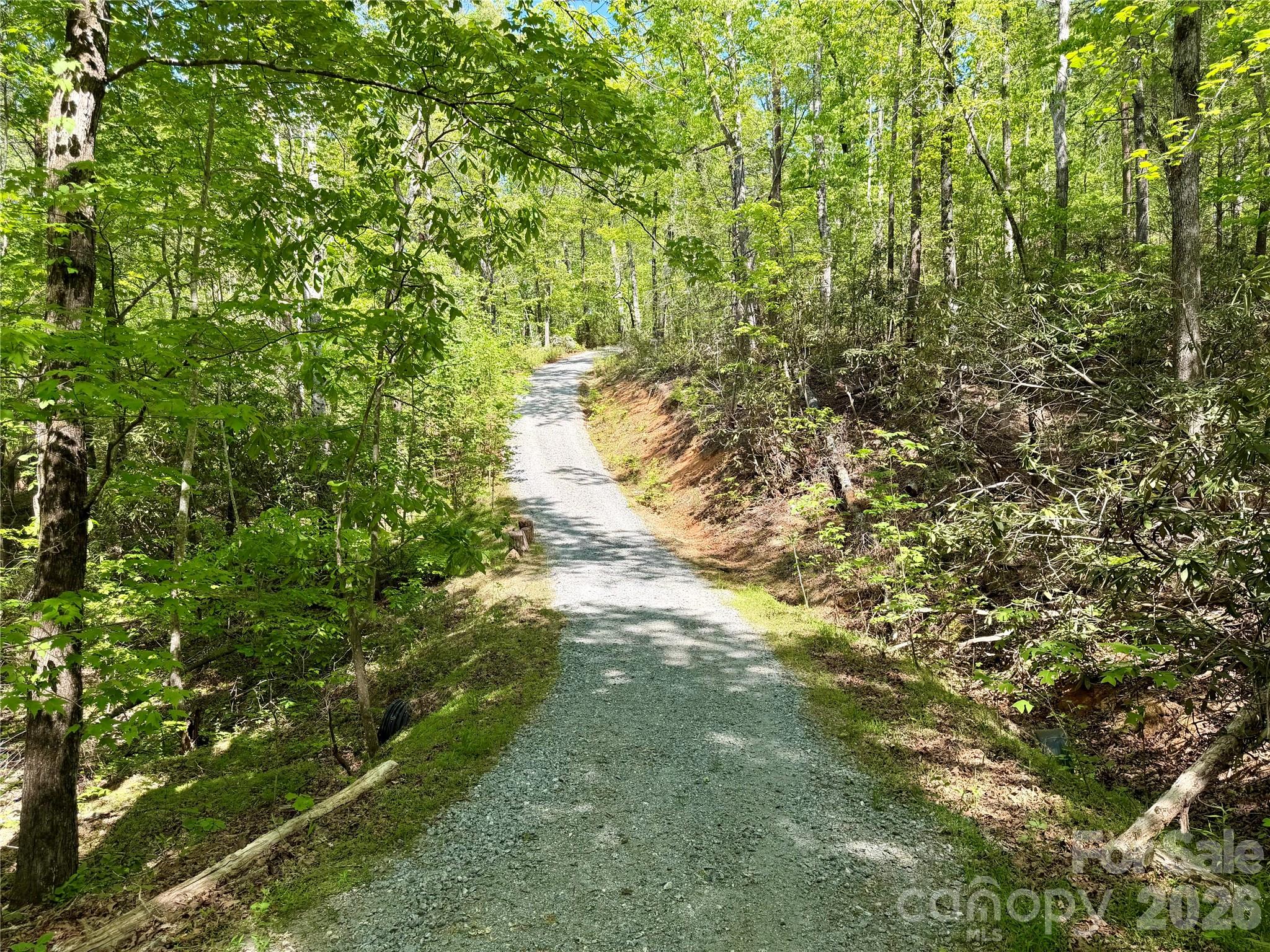 81 Delind Drive — Mill Spring