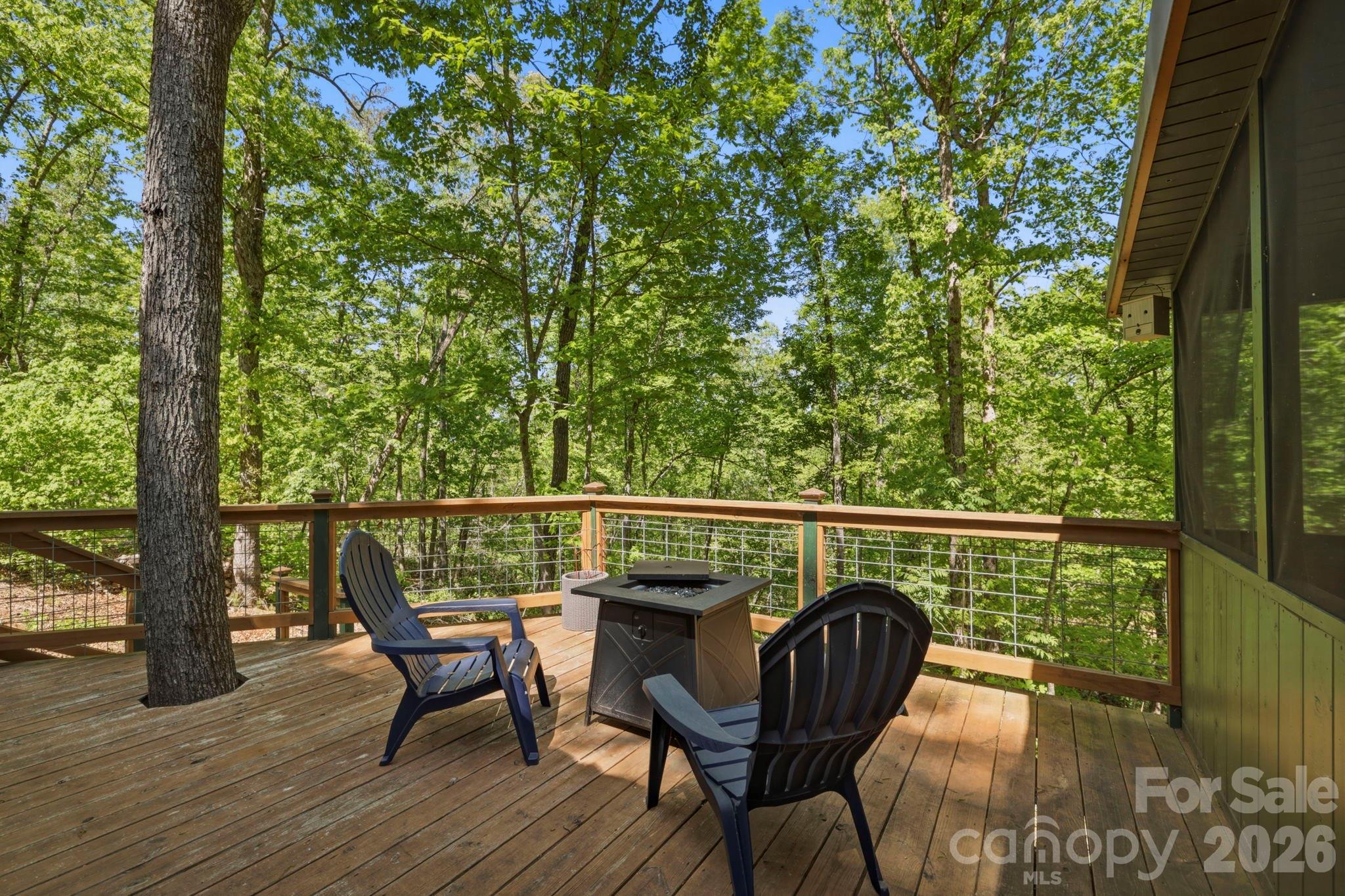 81 Delind Drive — Mill Spring