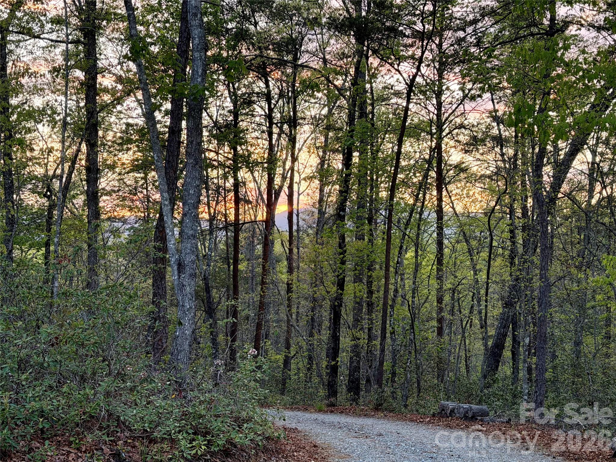 81 Delind Drive — Mill Spring