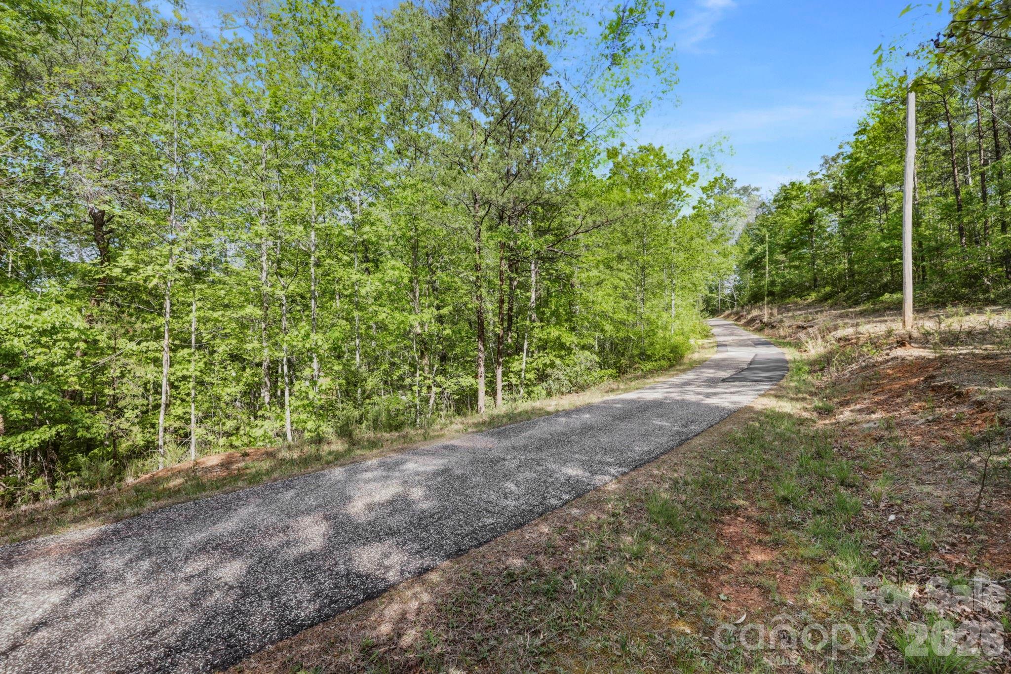 81 Delind Drive — Mill Spring