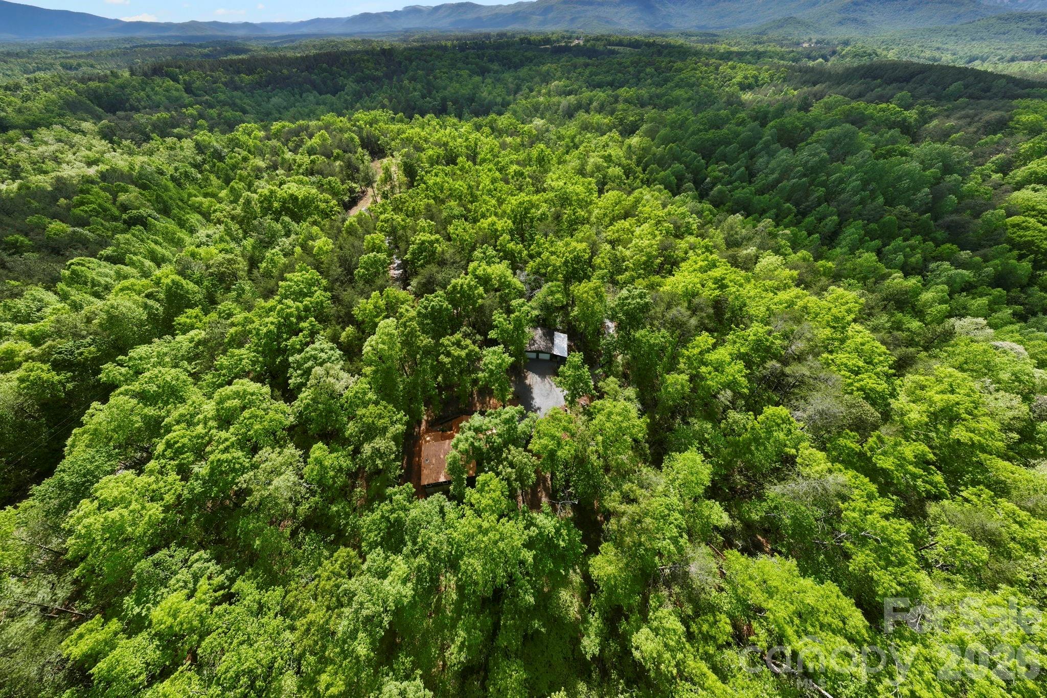 81 Delind Drive — Mill Spring