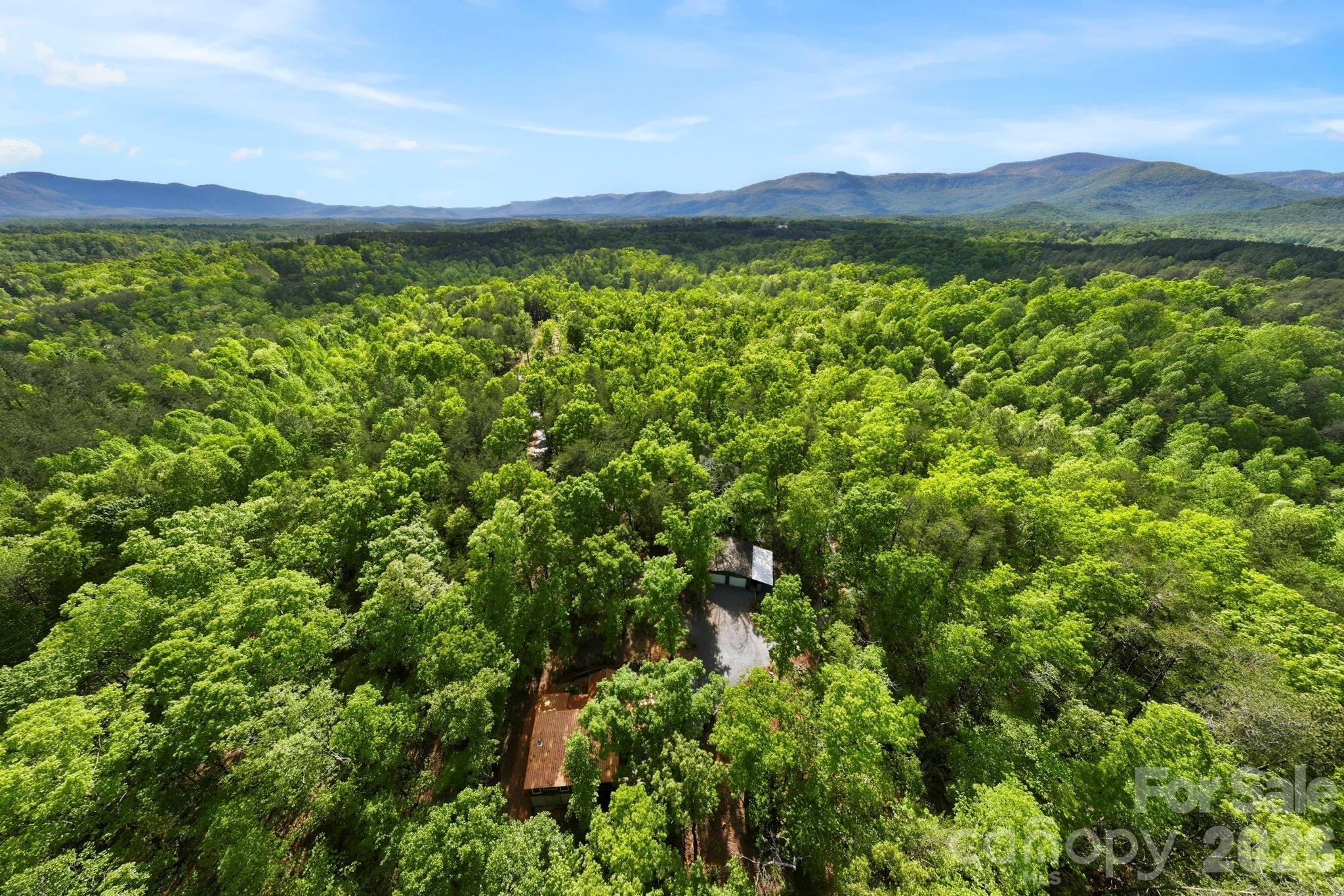 81 Delind Drive — Mill Spring