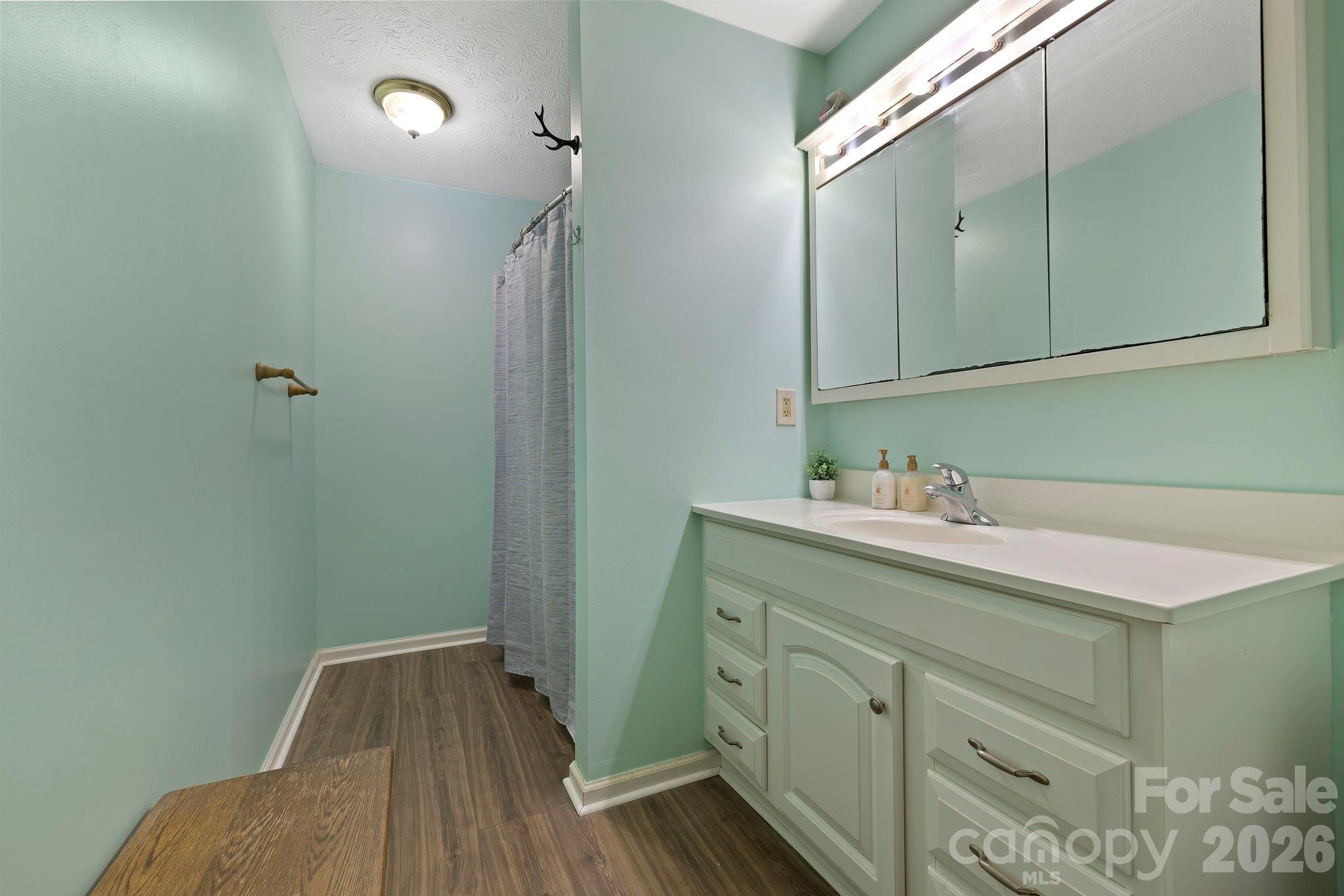40 Country Bear Lane — Flat Rock
