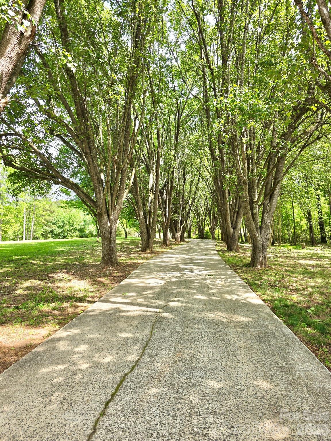 100 Steffey Lane — Taylorsville