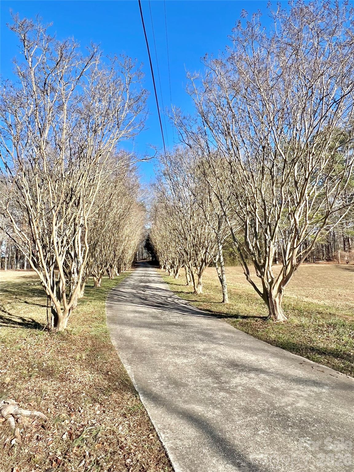100 Steffey Lane — Taylorsville