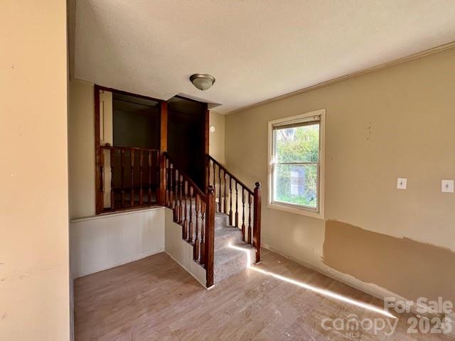 97 Oakland Drive — Burnsville