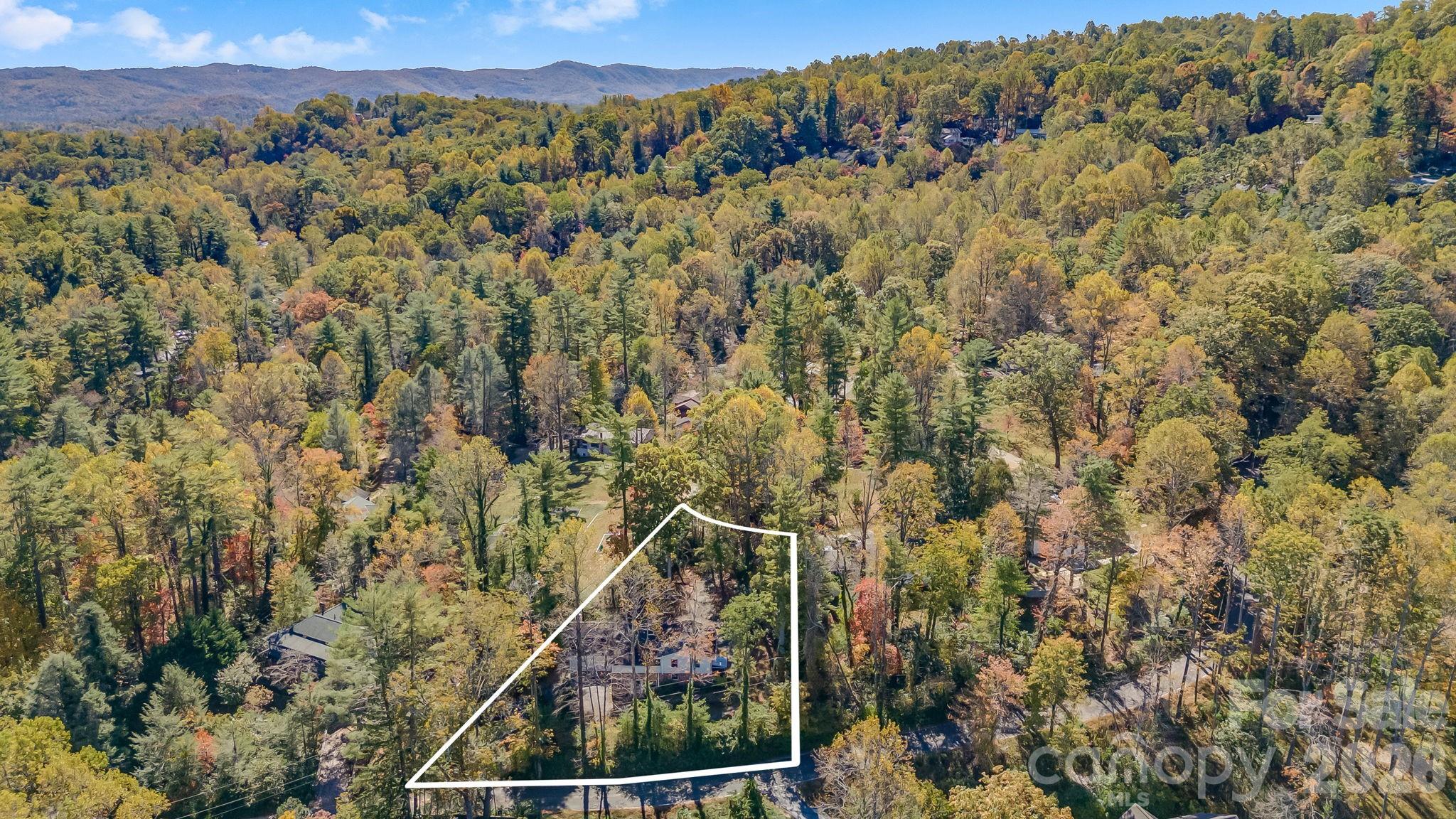 203 Davis Mountain Road — Laurel Park