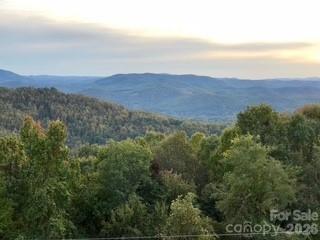 1403 Fleetwood Plaza — Hendersonville