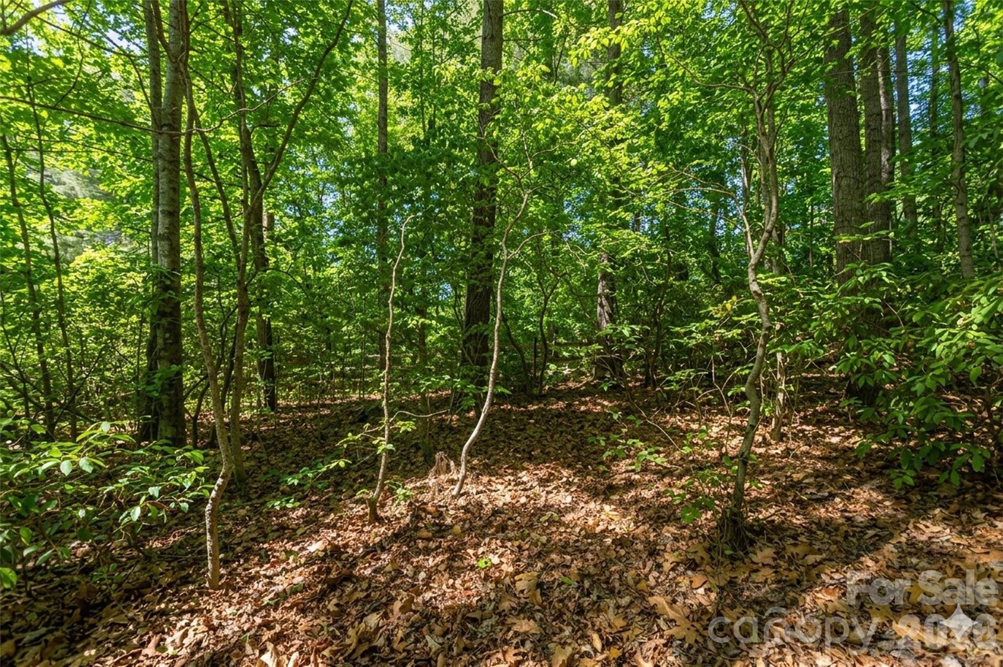 128 Camellia Way — Hendersonville
