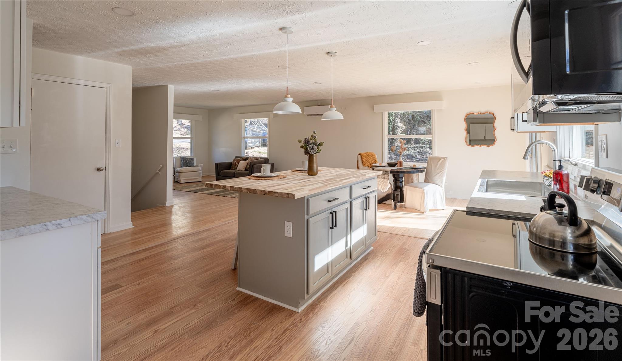104 Disosway Street — Black Mountain