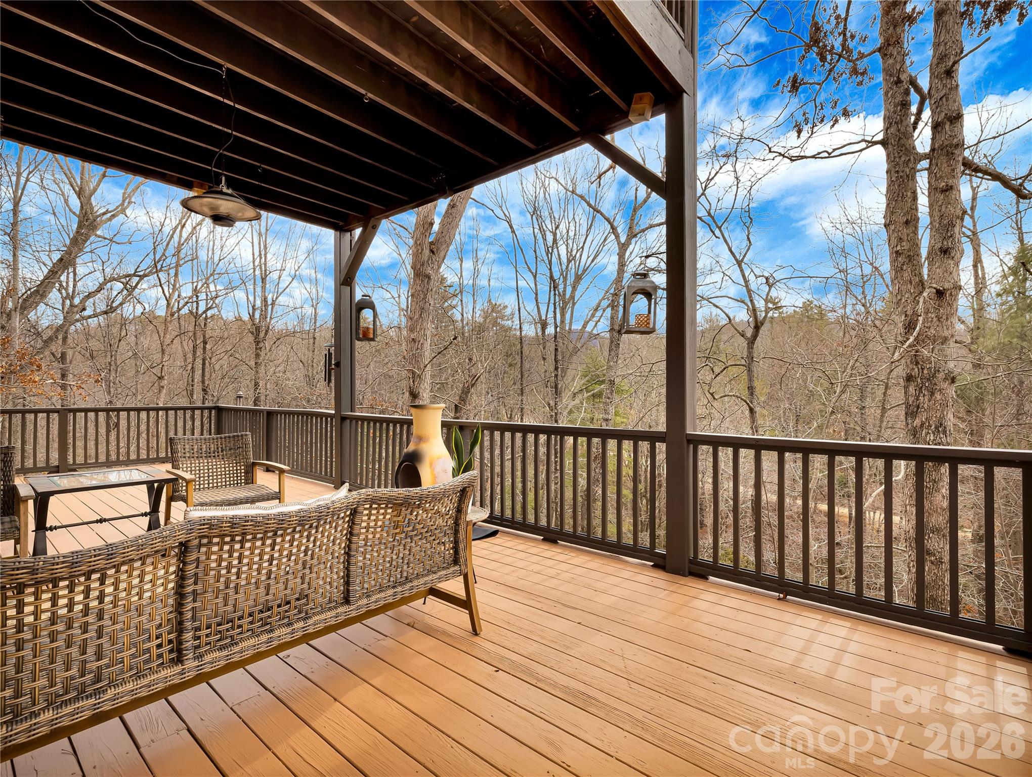 184 Deep Woods Lane — Saluda