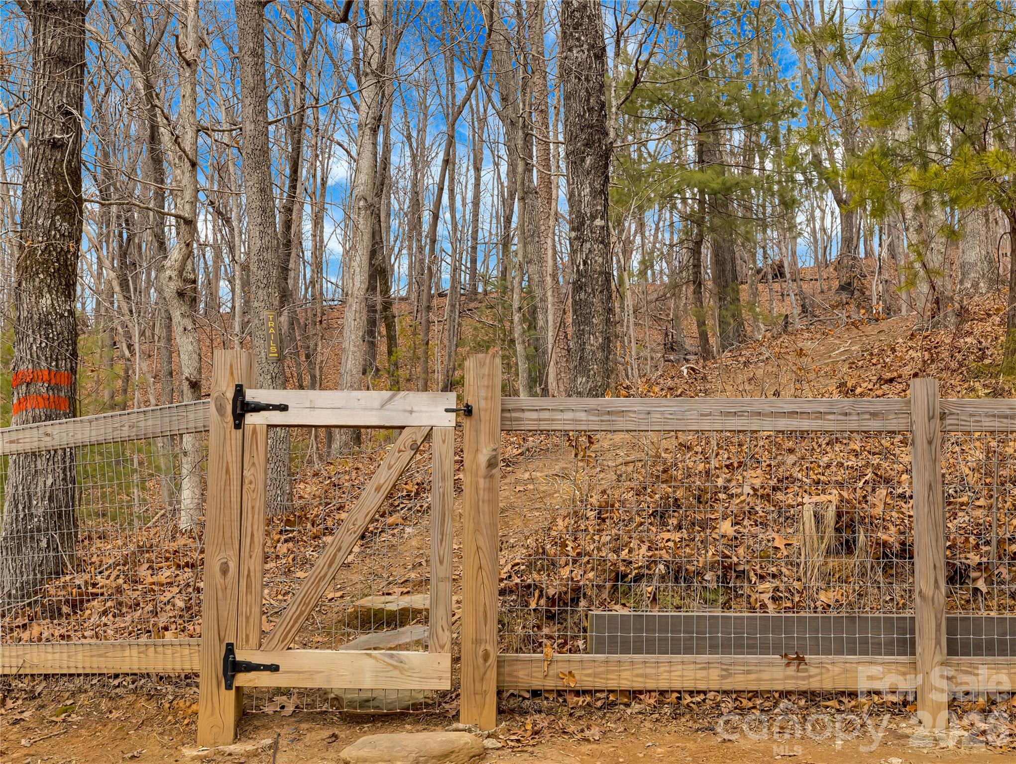 184 Deep Woods Lane — Saluda
