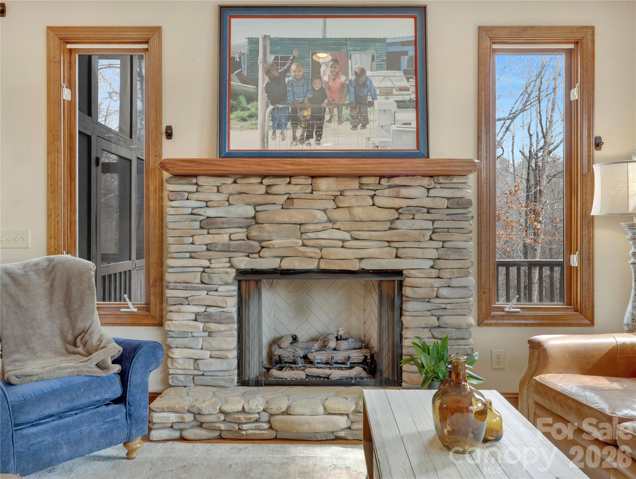 184 Deep Woods Lane — Saluda