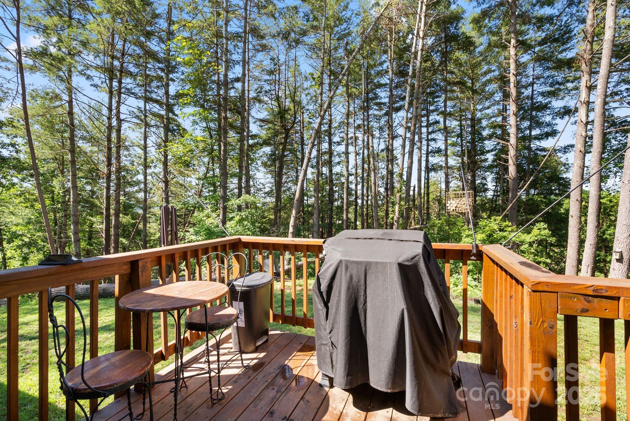 102 Kiwassa Lane — Hendersonville