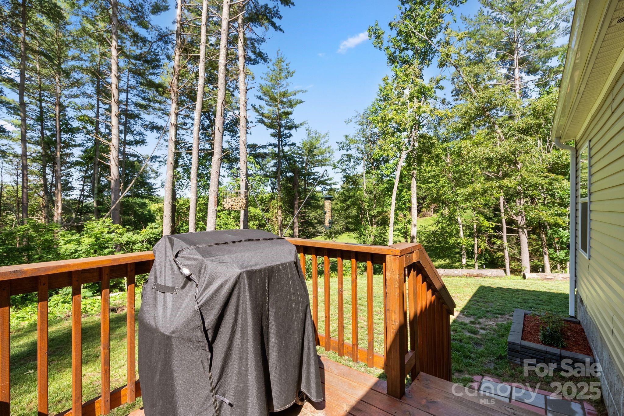102 Kiwassa Lane — Hendersonville
