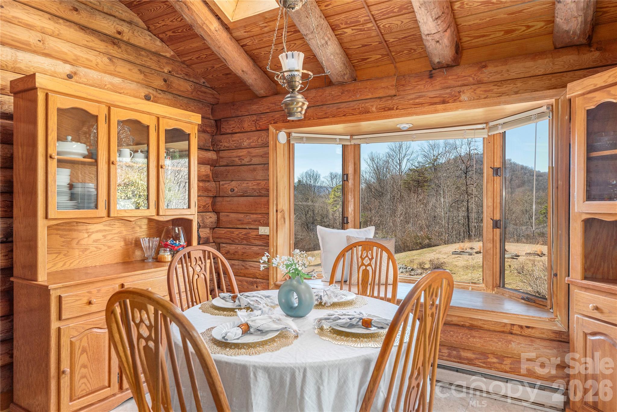 393 Carver Mountain Valley — Sylva