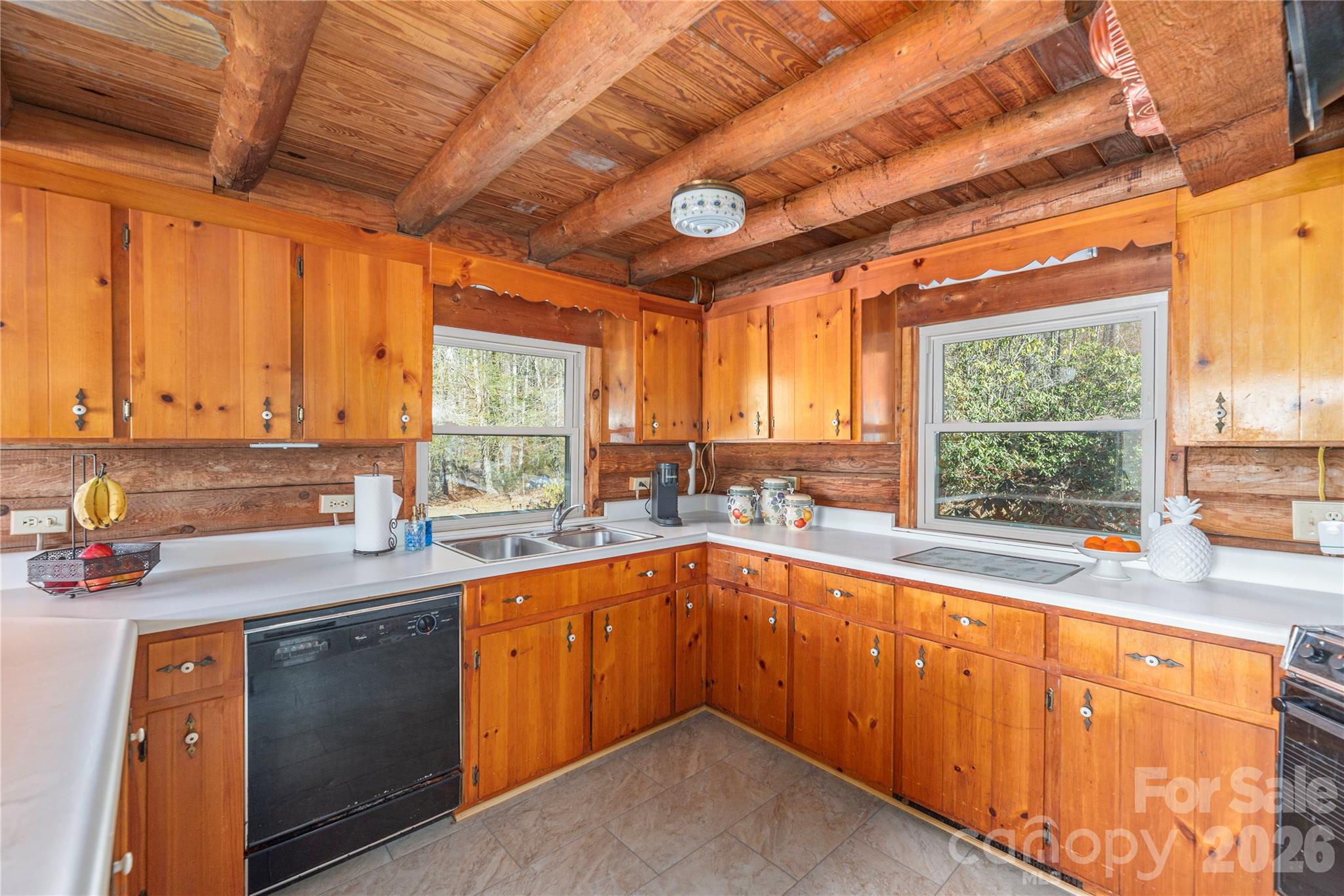 393 Carver Mountain Valley — Sylva