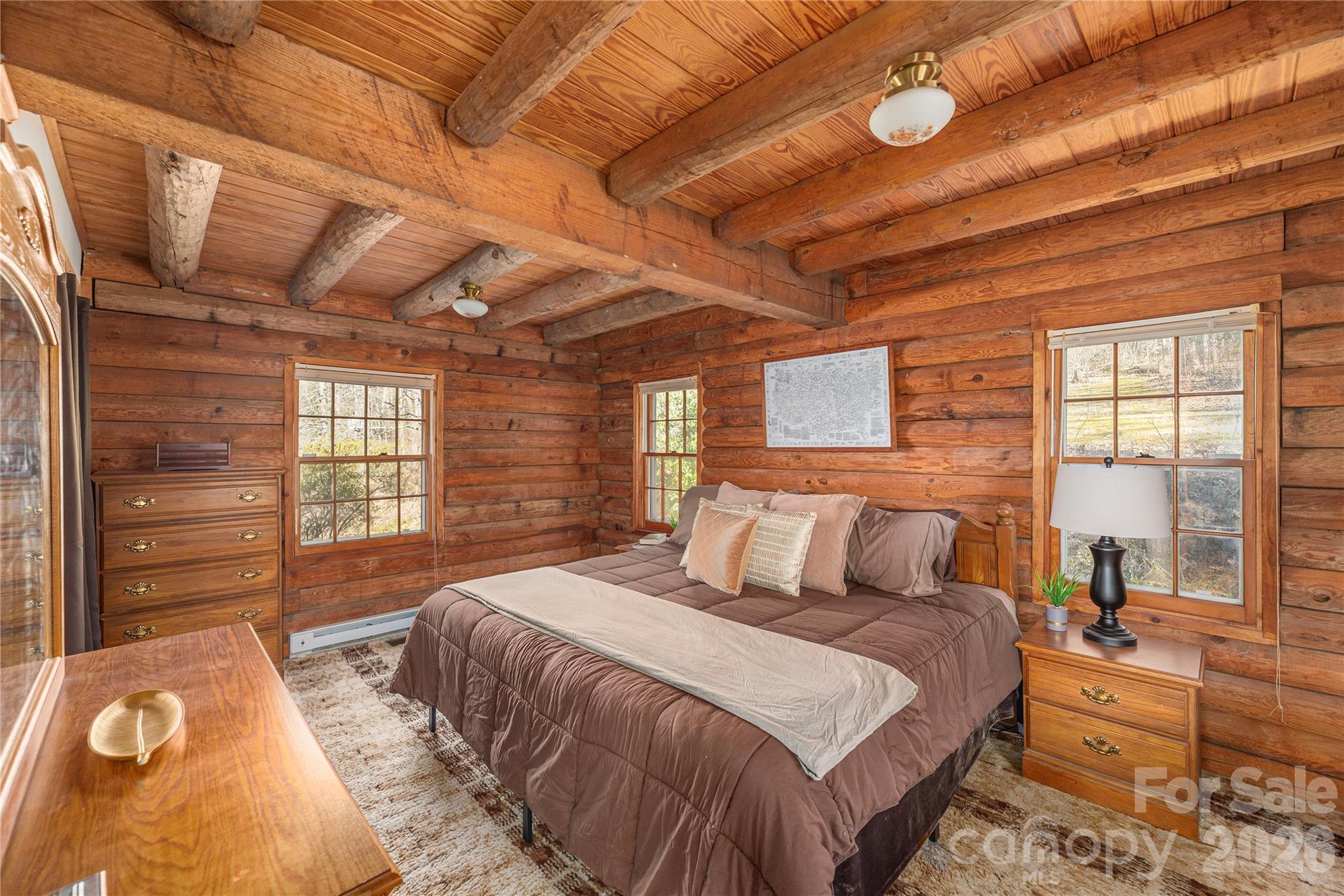 393 Carver Mountain Valley — Sylva
