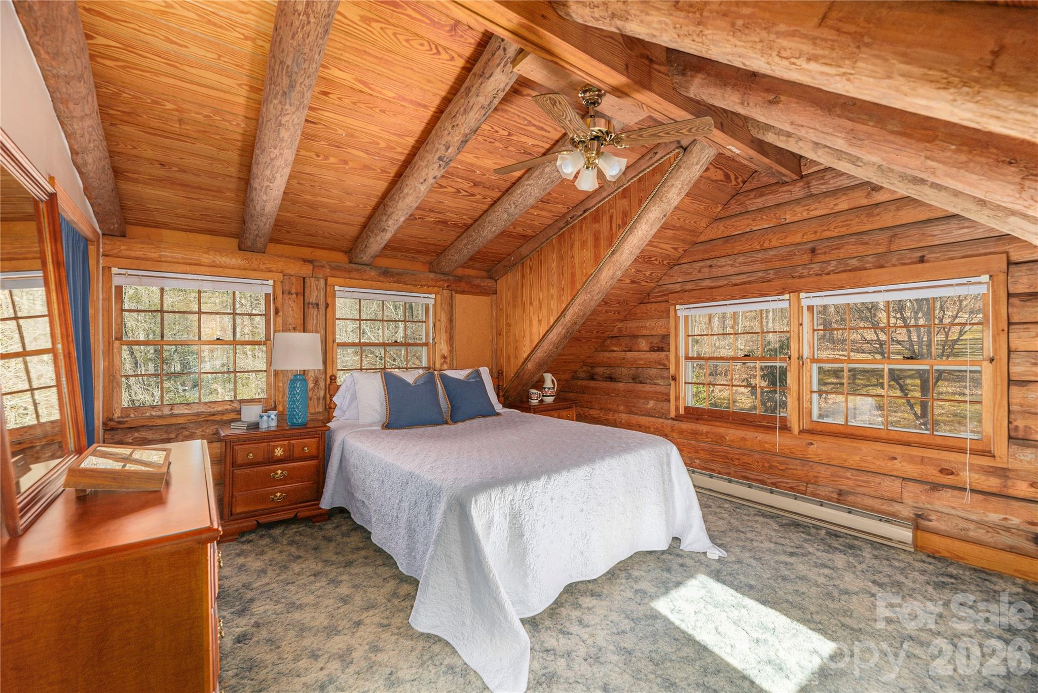 393 Carver Mountain Valley — Sylva