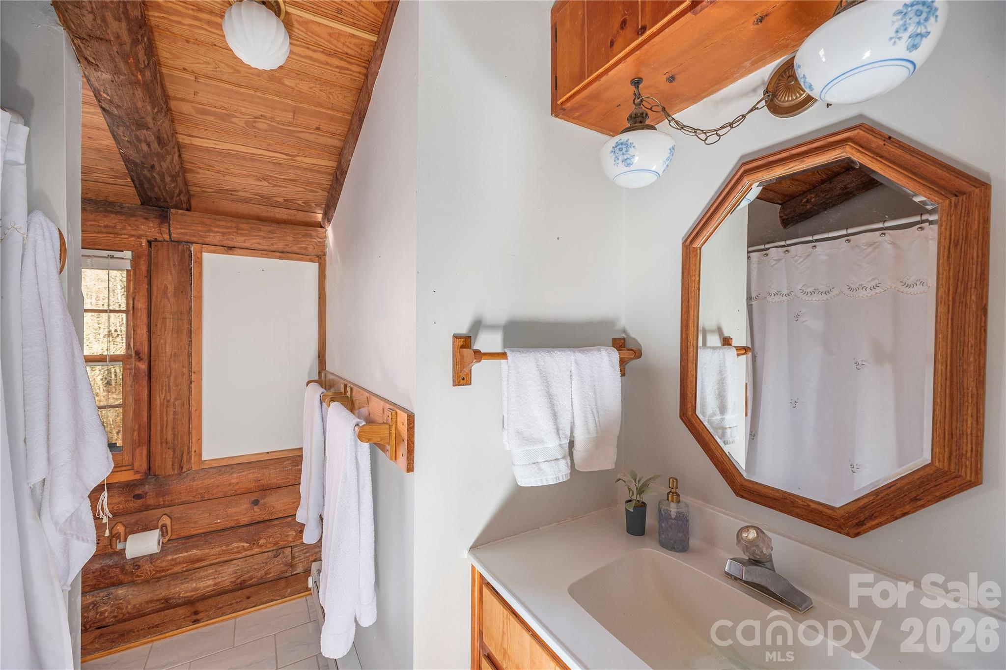 393 Carver Mountain Valley — Sylva