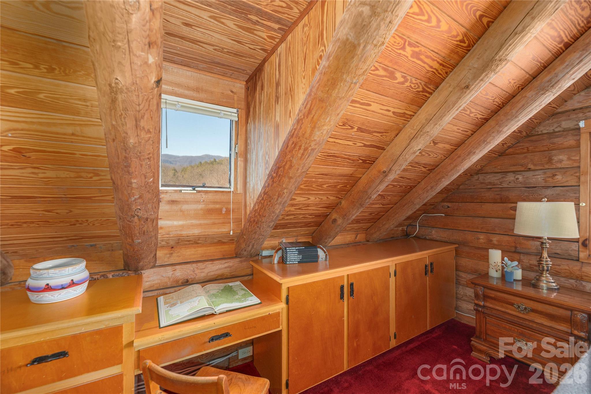 393 Carver Mountain Valley — Sylva