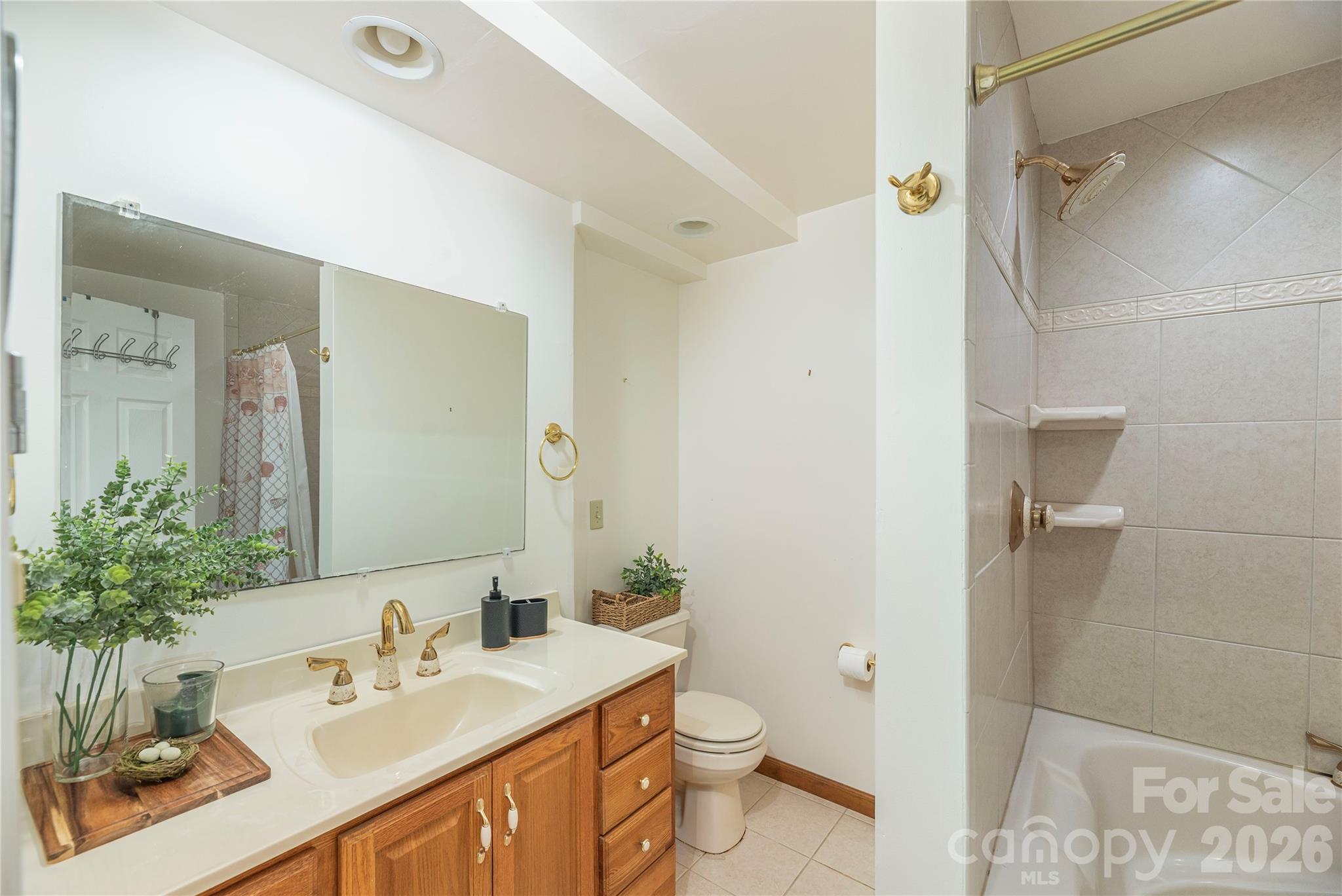 393 Carver Mountain Valley — Sylva