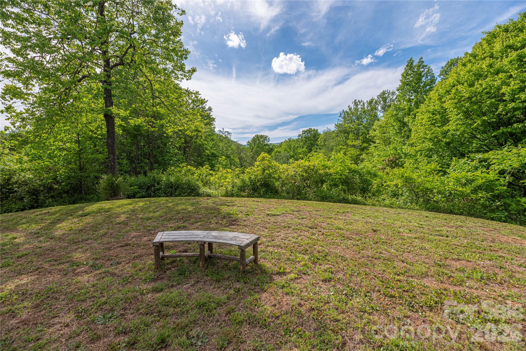 393 Carver Mountain Valley — Sylva