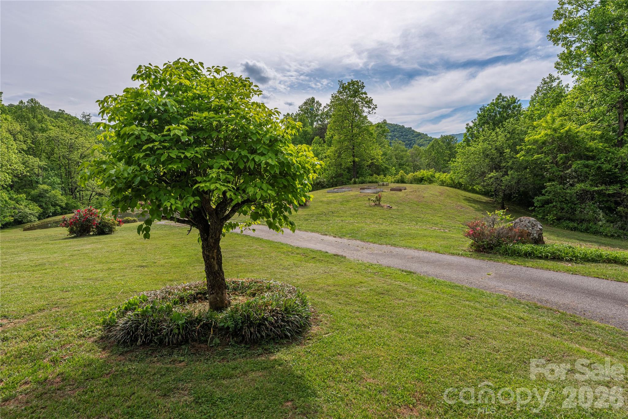 393 Carver Mountain Valley — Sylva