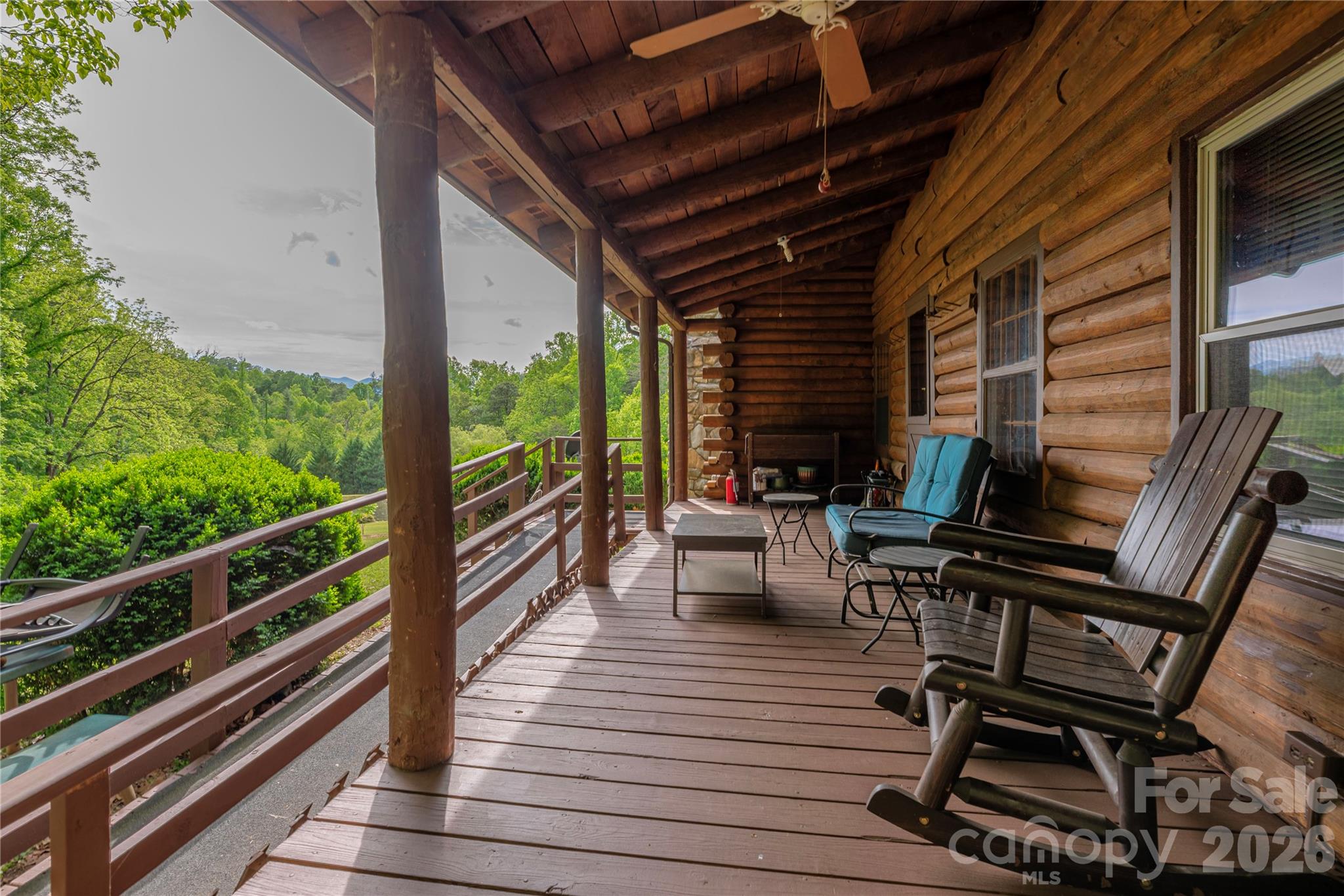 393 Carver Mountain Valley — Sylva