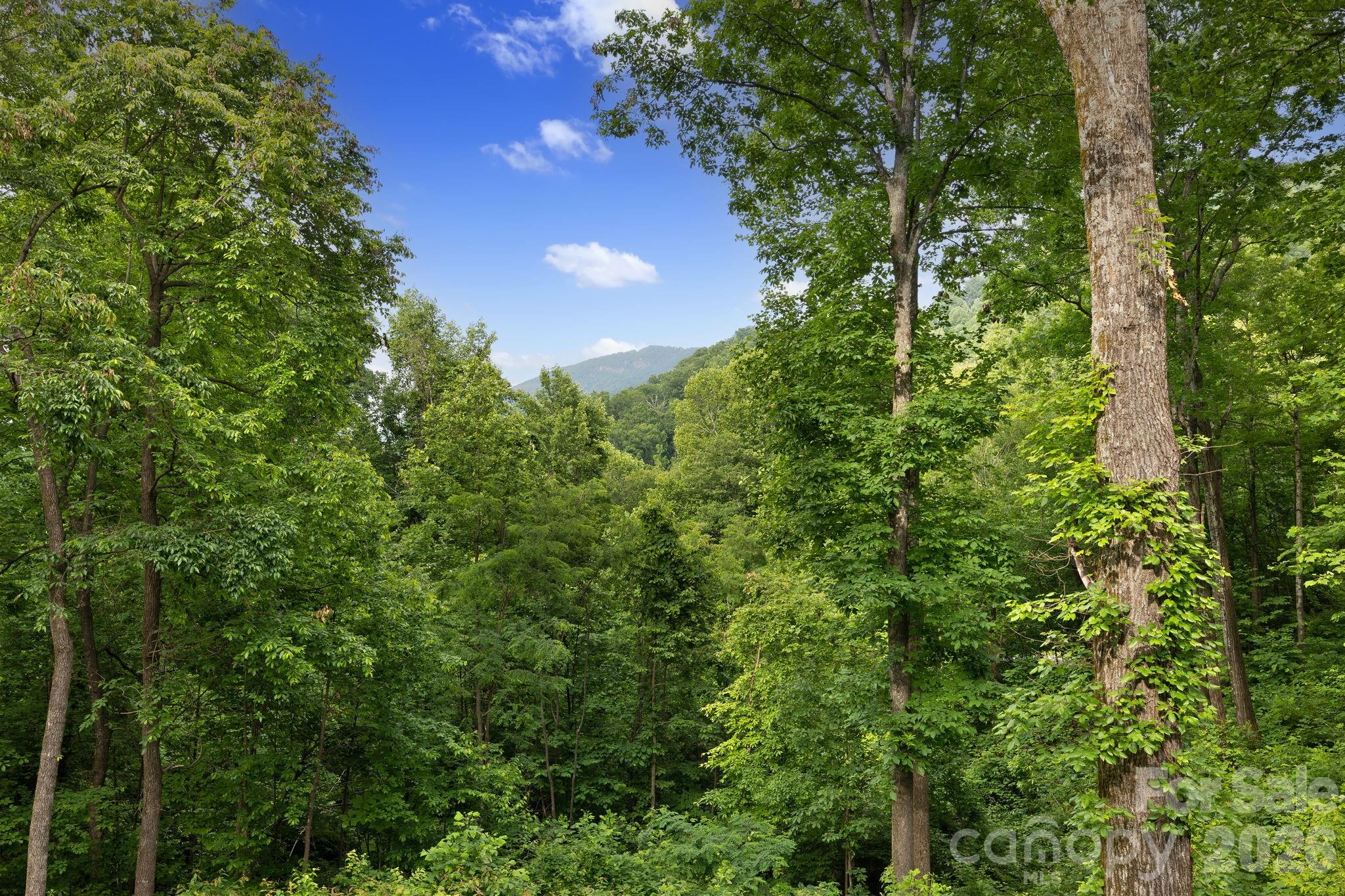 771 Sally Gap Road — Old Fort