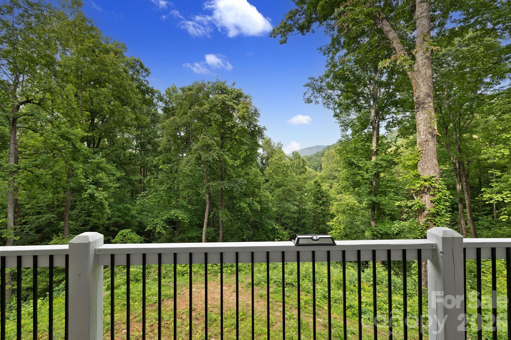 771 Sally Gap Road — Old Fort