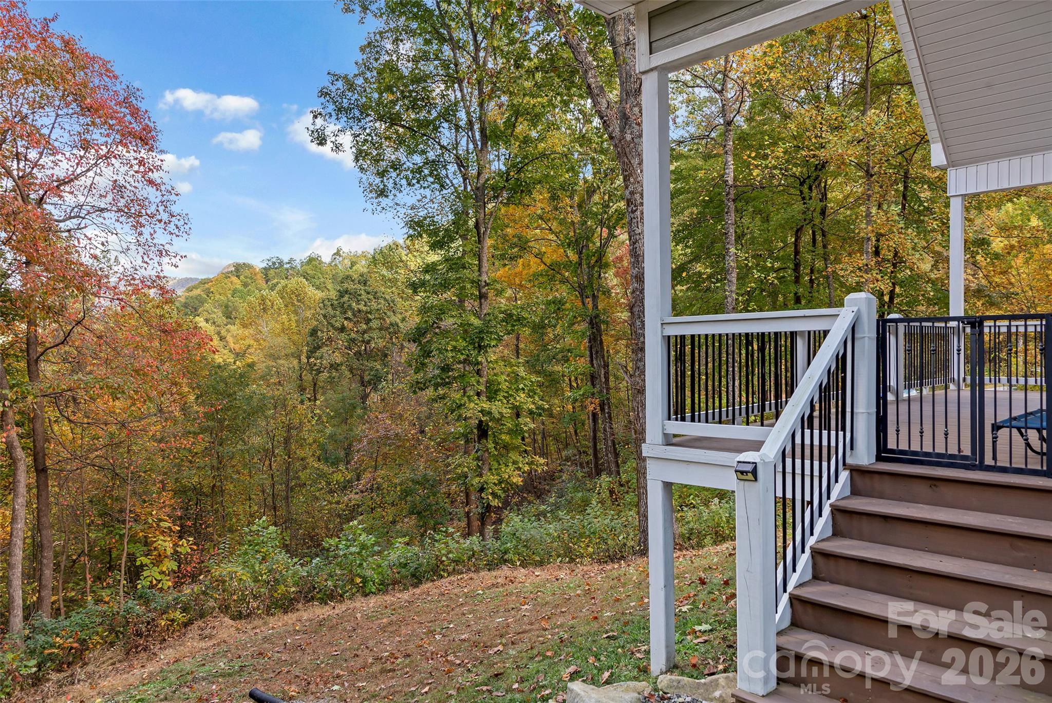 771 Sally Gap Road — Old Fort