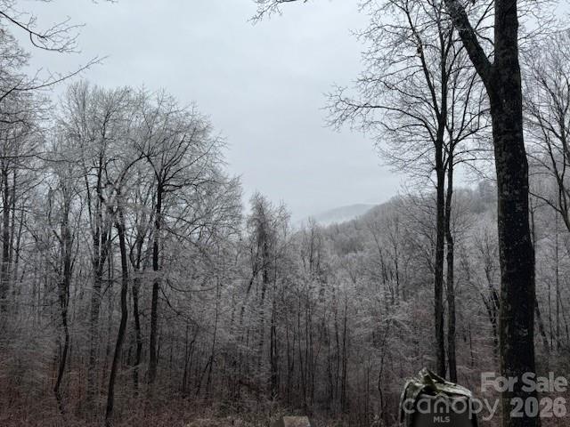 771 Sally Gap Road — Old Fort