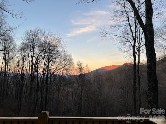 771 Sally Gap Road — Old Fort