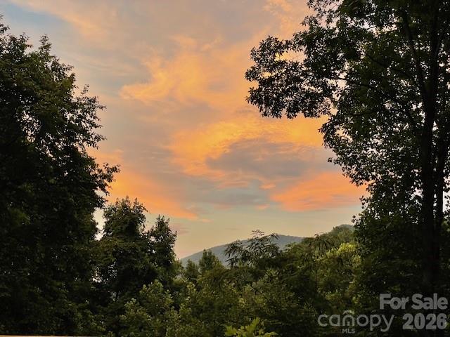 771 Sally Gap Road — Old Fort