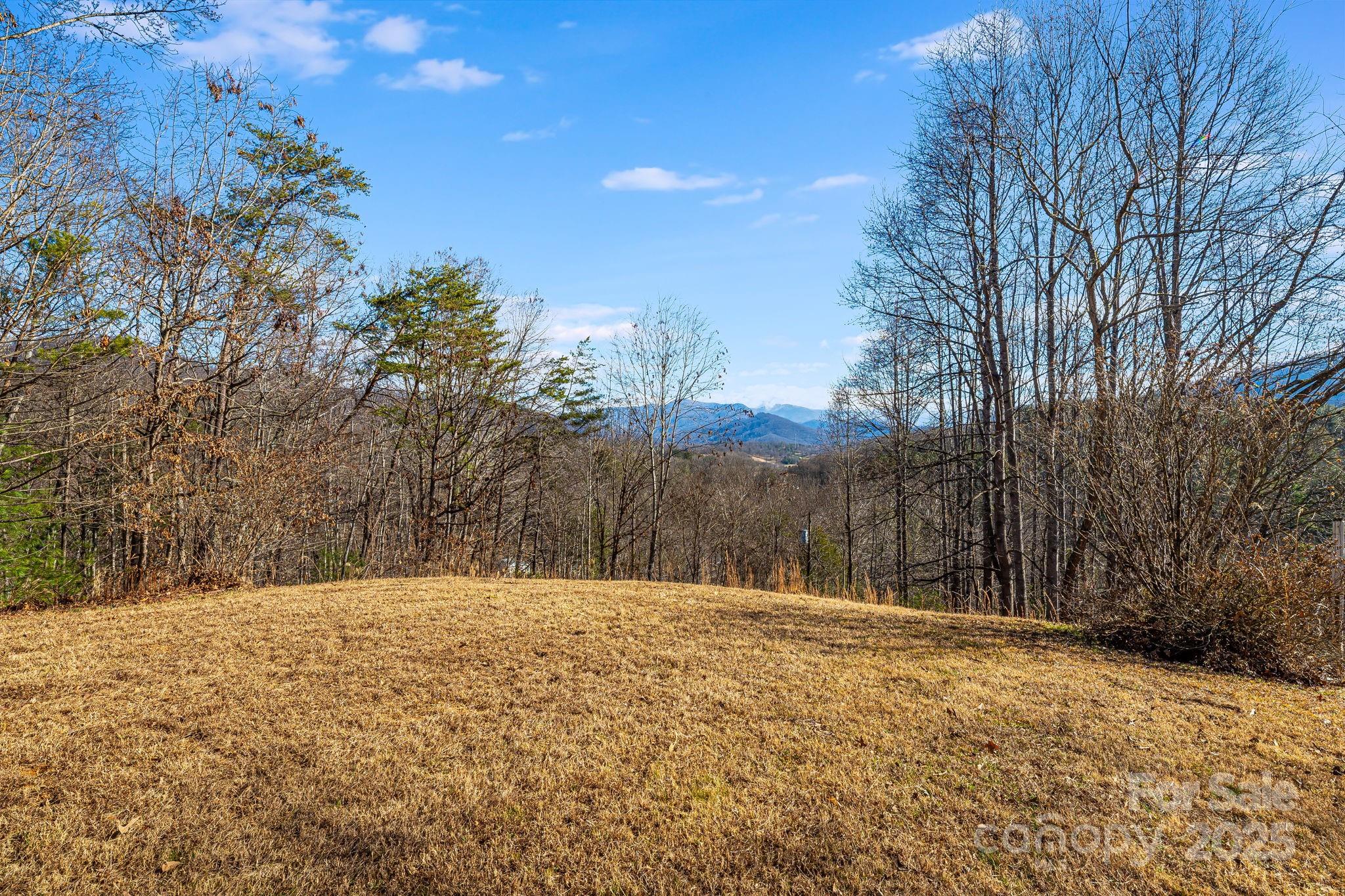15 Cyrus Lane — Weaverville